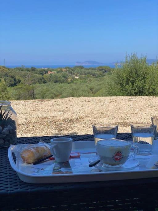 Villa Boeddu, Relax Tra Mare E Campagna Αλγκέρο Εξωτερικό φωτογραφία